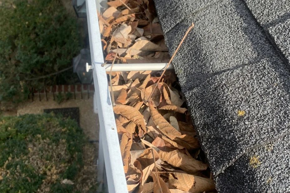 Gutter Cleaning Immokalee FL